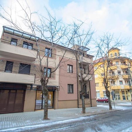 As Apartman 2 Vrsac Buitenkant foto