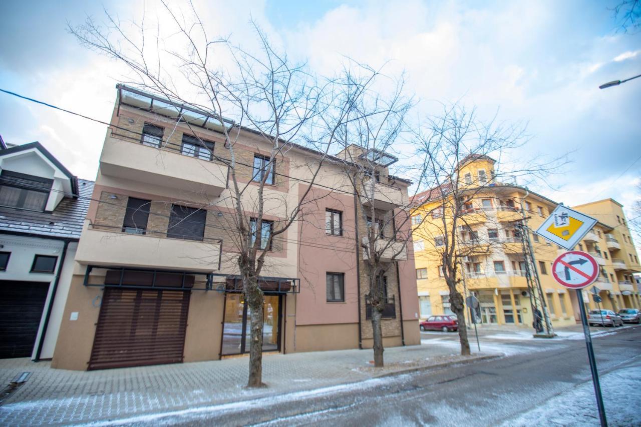 As Apartman 2 Vrsac Buitenkant foto