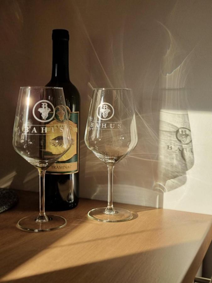 As Apartman 2 Vrsac Buitenkant foto