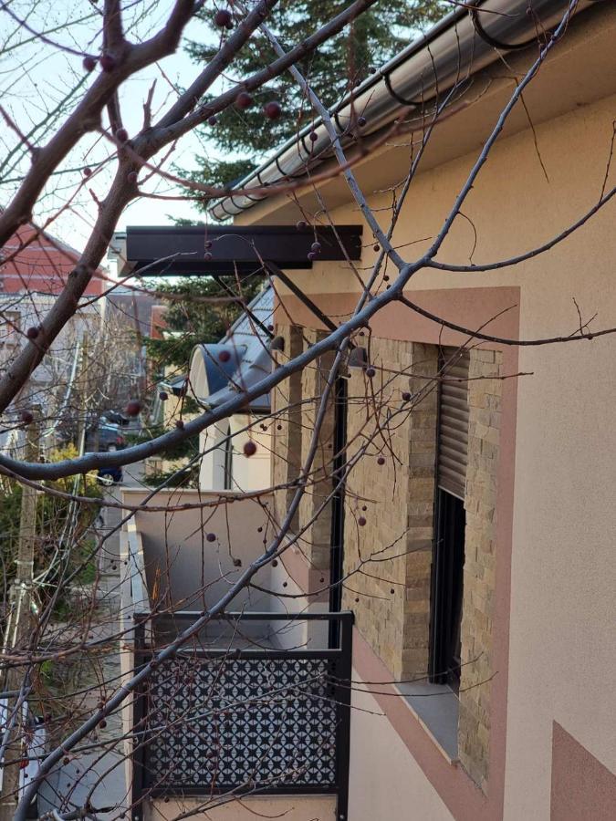 As Apartman 2 Vrsac Buitenkant foto